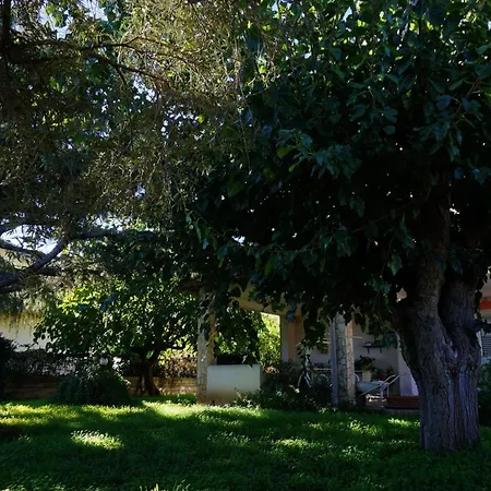 Casa Del Cedro * Brucoli